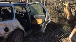 Пиян се качи зад волана с две деца в колата и се заби в дърво в Русе