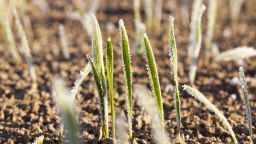 Захлаждане и утринен мраз в следващите дни, но остава спокойно без валежи