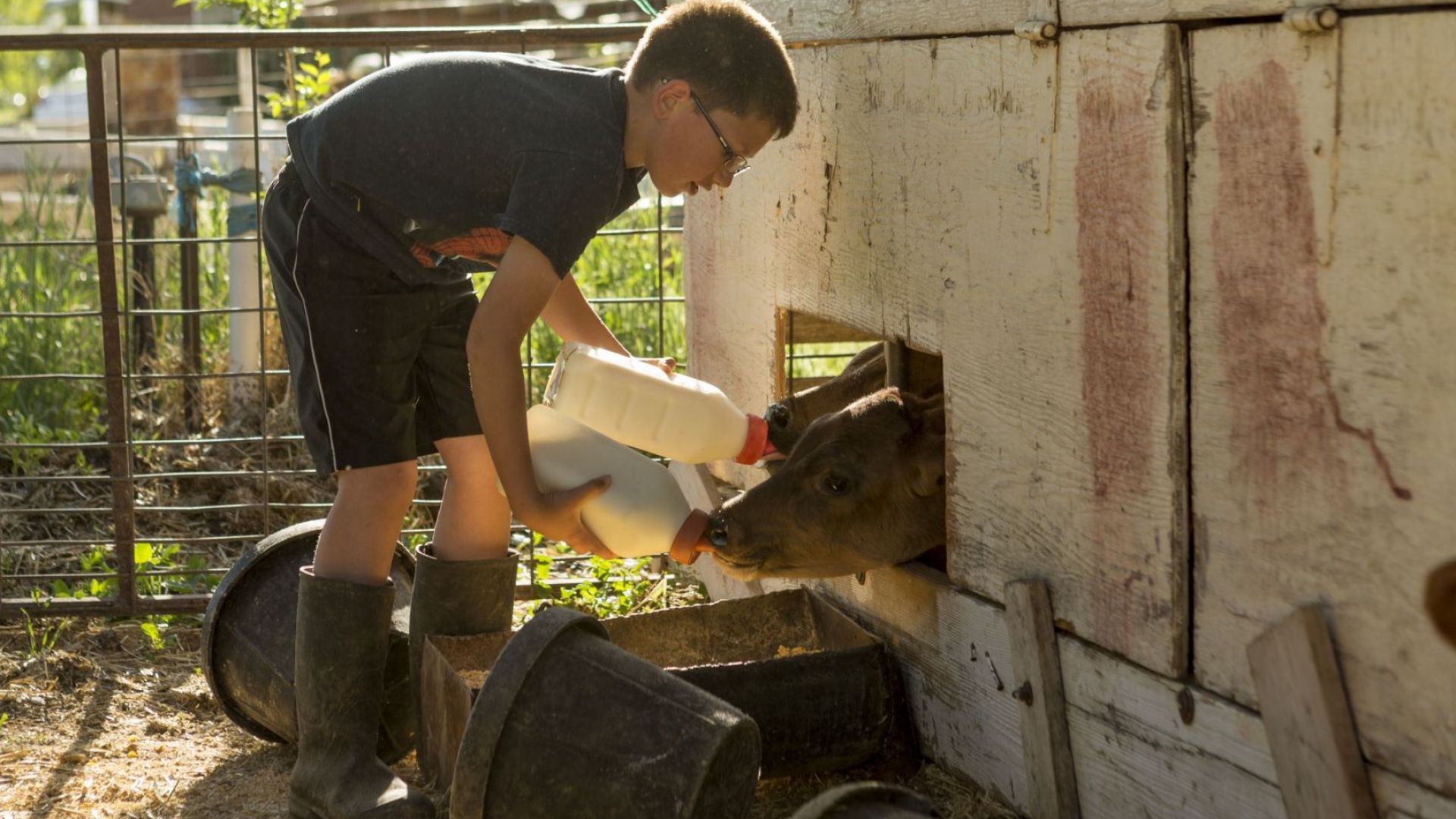 Учители са алармирали Областната дирекция Социално подпомагане в Монтана че