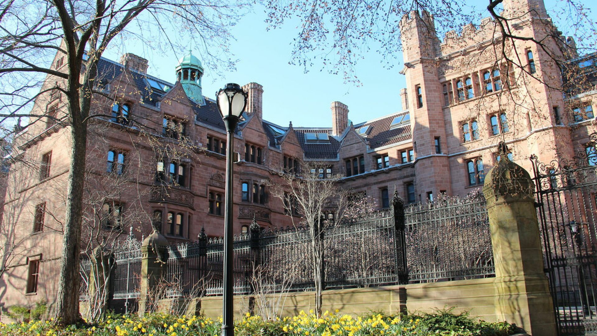 Продължава скандалът с корупция в най престижните университети в света Студентските