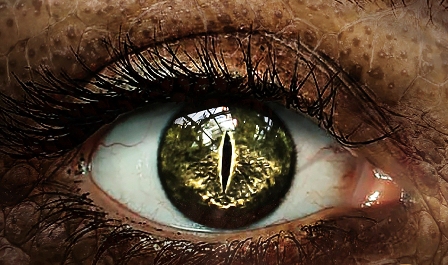 "Измамна реалност" на Стойчо Керев тръгва на турне