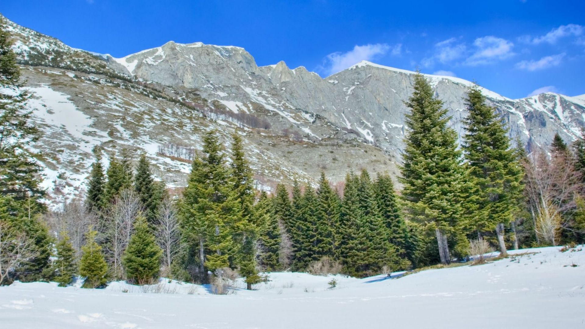 Министърът на вътрешните работи Младен Маринов съобщи на брифинг че