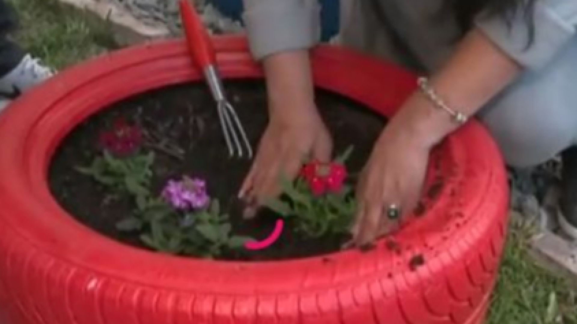 Жена от Перник води нервна битка с крадците на цветя