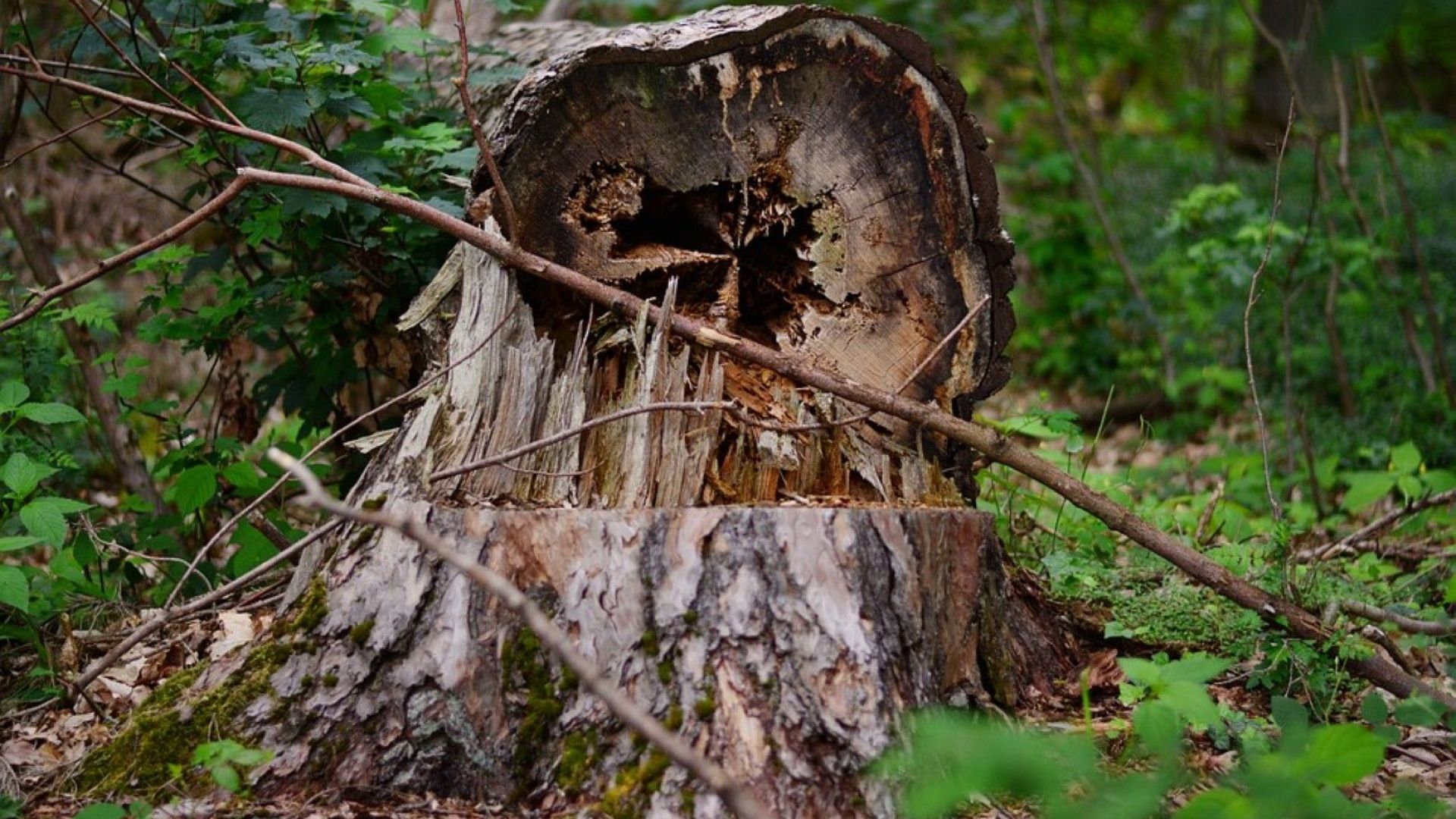 58 годишен мъж от село Хърсово е намерен в безпомощно състояние