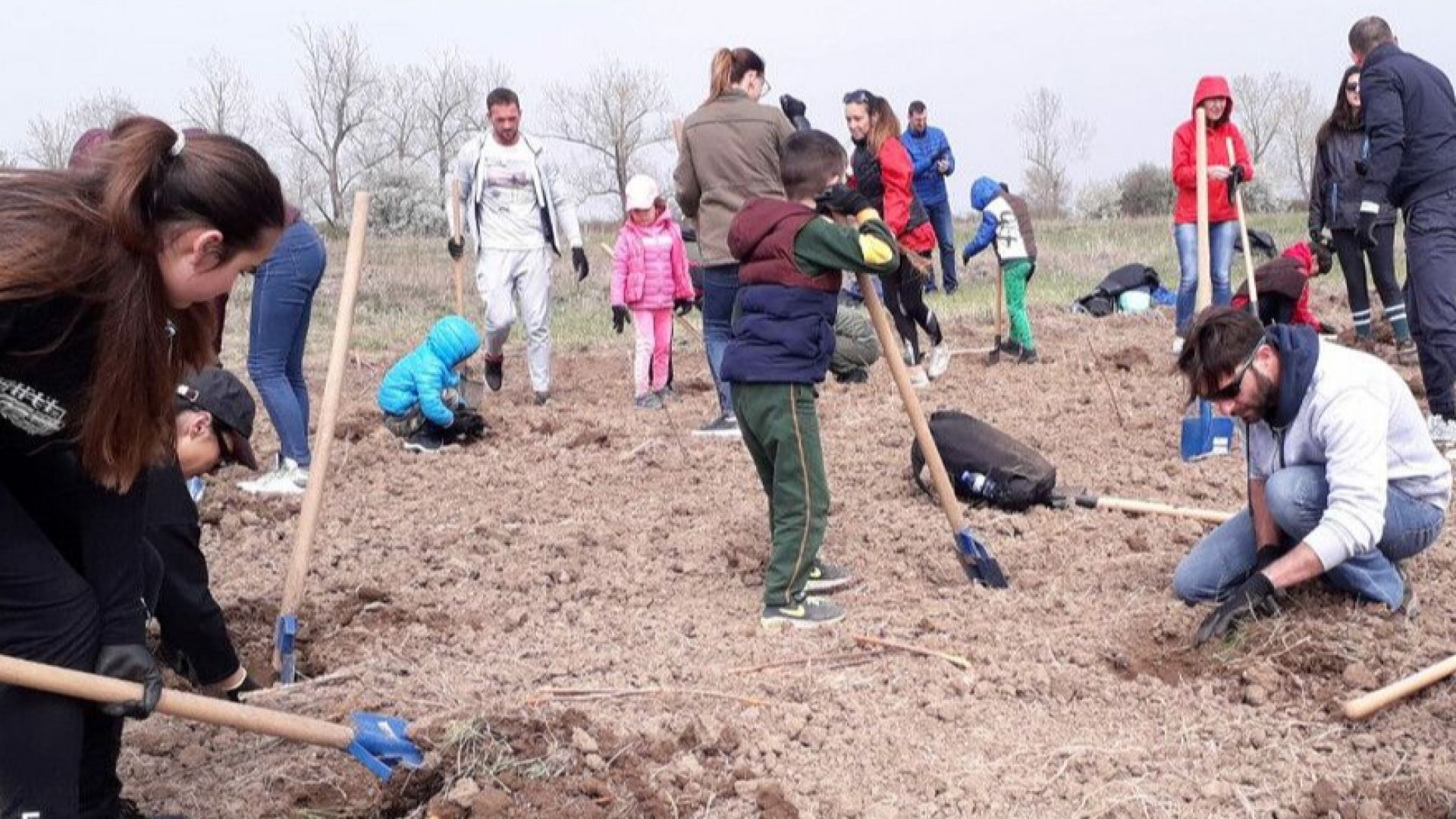Доброволци залесяват гора край Суходол Това е един от най мащабните