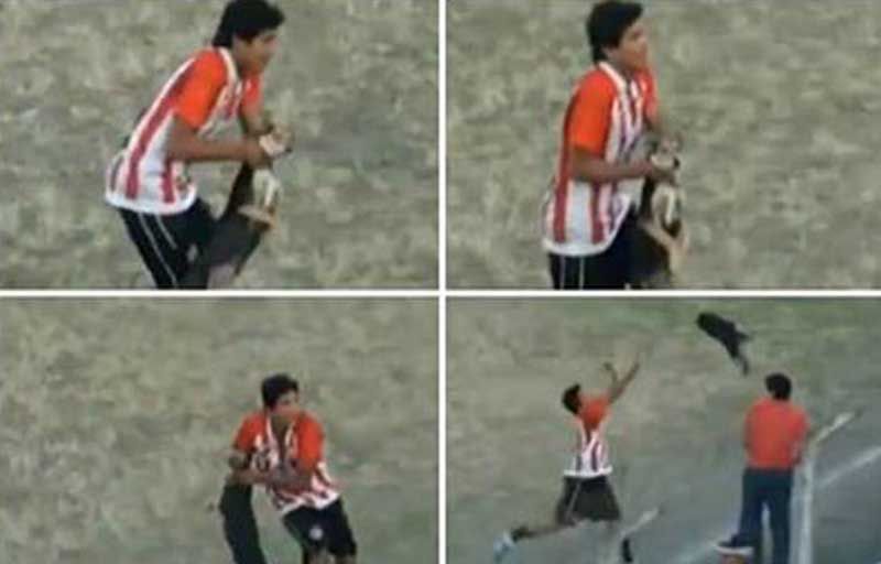2013 г. Хосе Хименес от бразилския Бела ВИста опита да хвърли навлязло на терена куче през оградата. Жестокостта му бе видяна от целия свят.