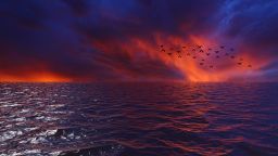 Очаква се силен Ел Ниньо до края на годината, а това ще доведе до горещи рекорди по цял свят