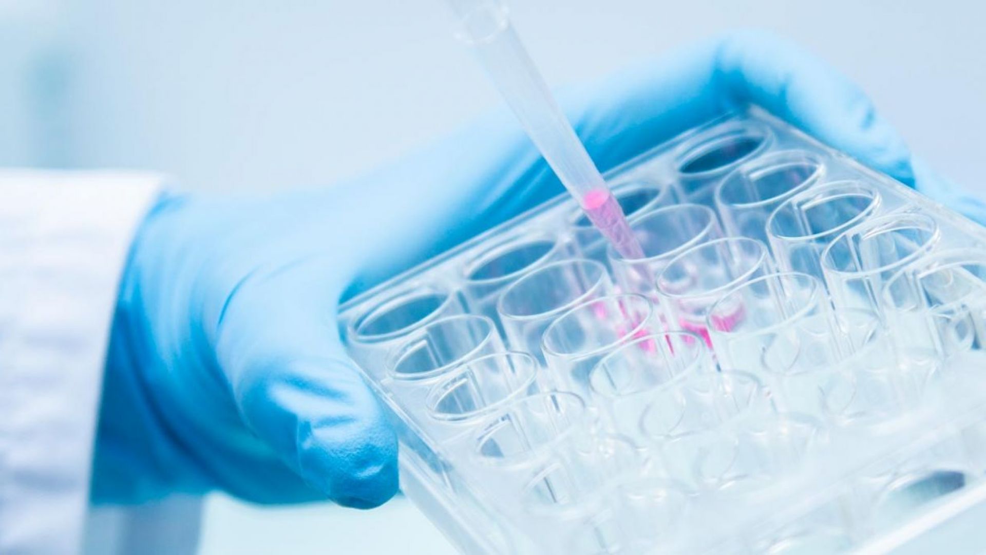 Починал холандски лекар забъркан в скандал с инвитро оплождане е