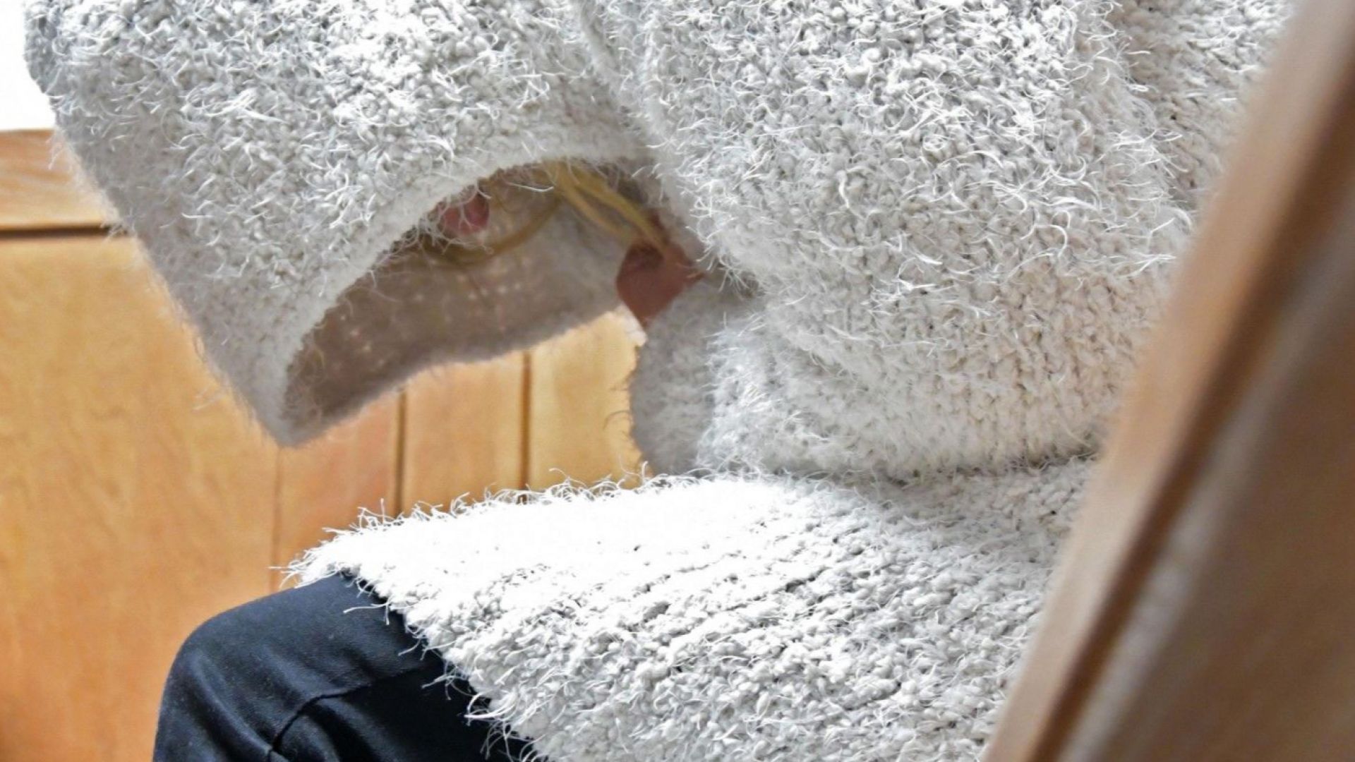 Съдът наложи парична гаранция от 1000 лева за Полина Шишманова