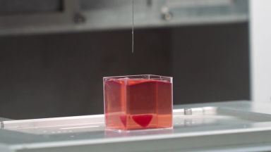 Израелски учени напечатаха живо сърце на 3D принтер (видео)