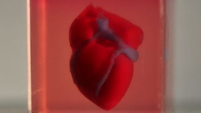 Учени създадоха изкуствено сърце от акрил и стволови клетки