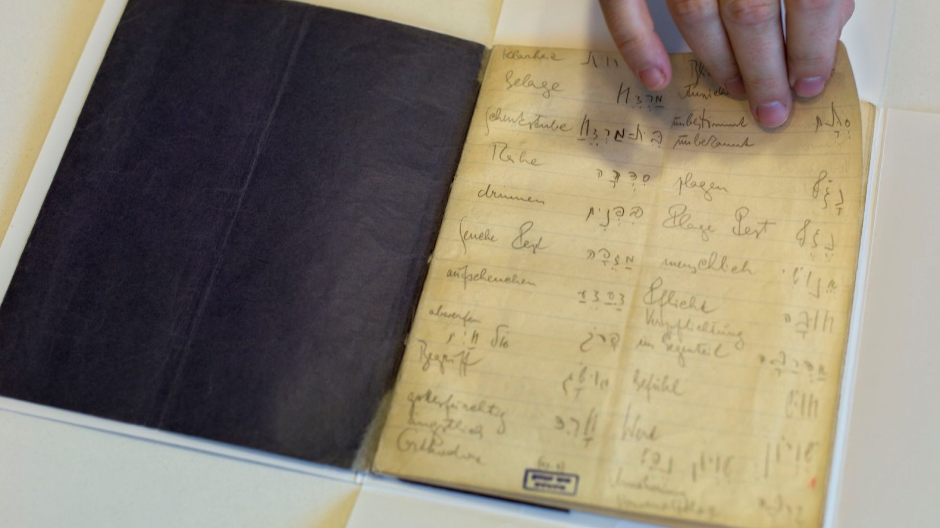 Стотици оригинални текстове на писателя Франц Кафка бяха върнати на