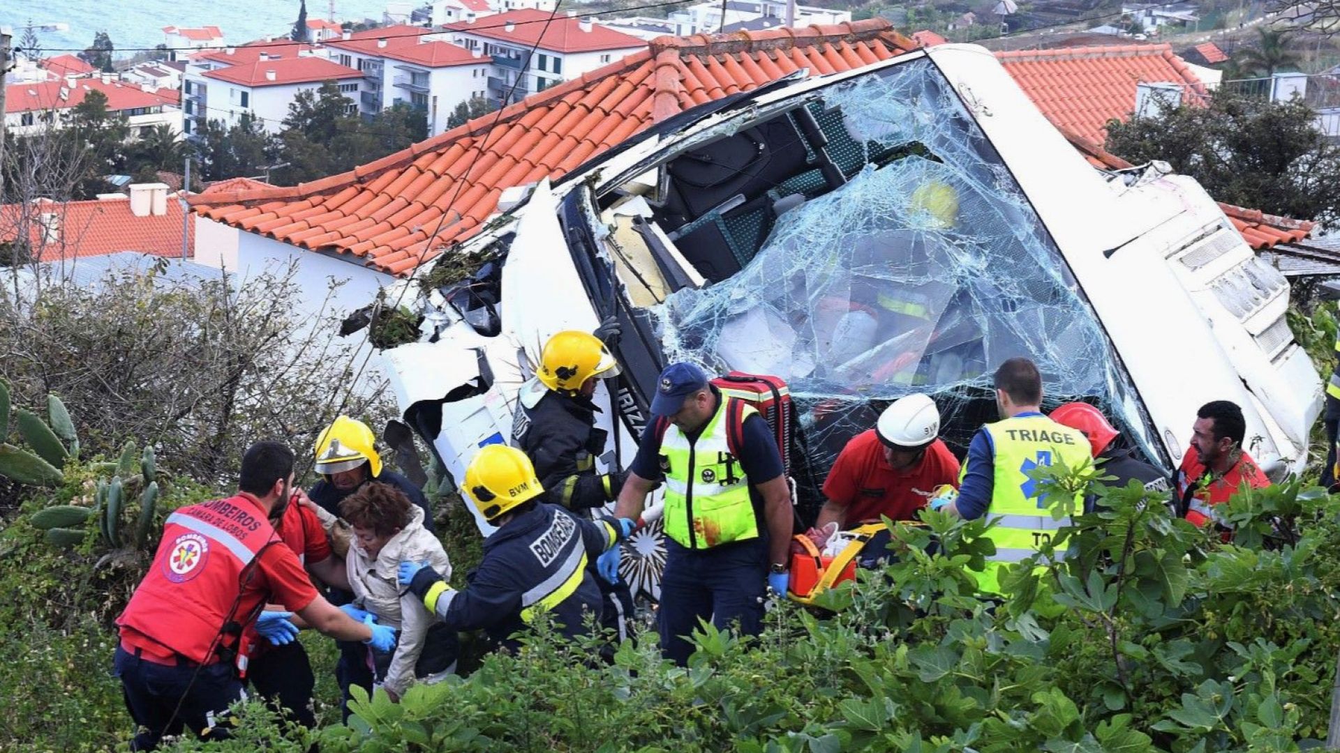 Португалските власти потвърдиха че всички 29 загинали при автобусната катастрофа