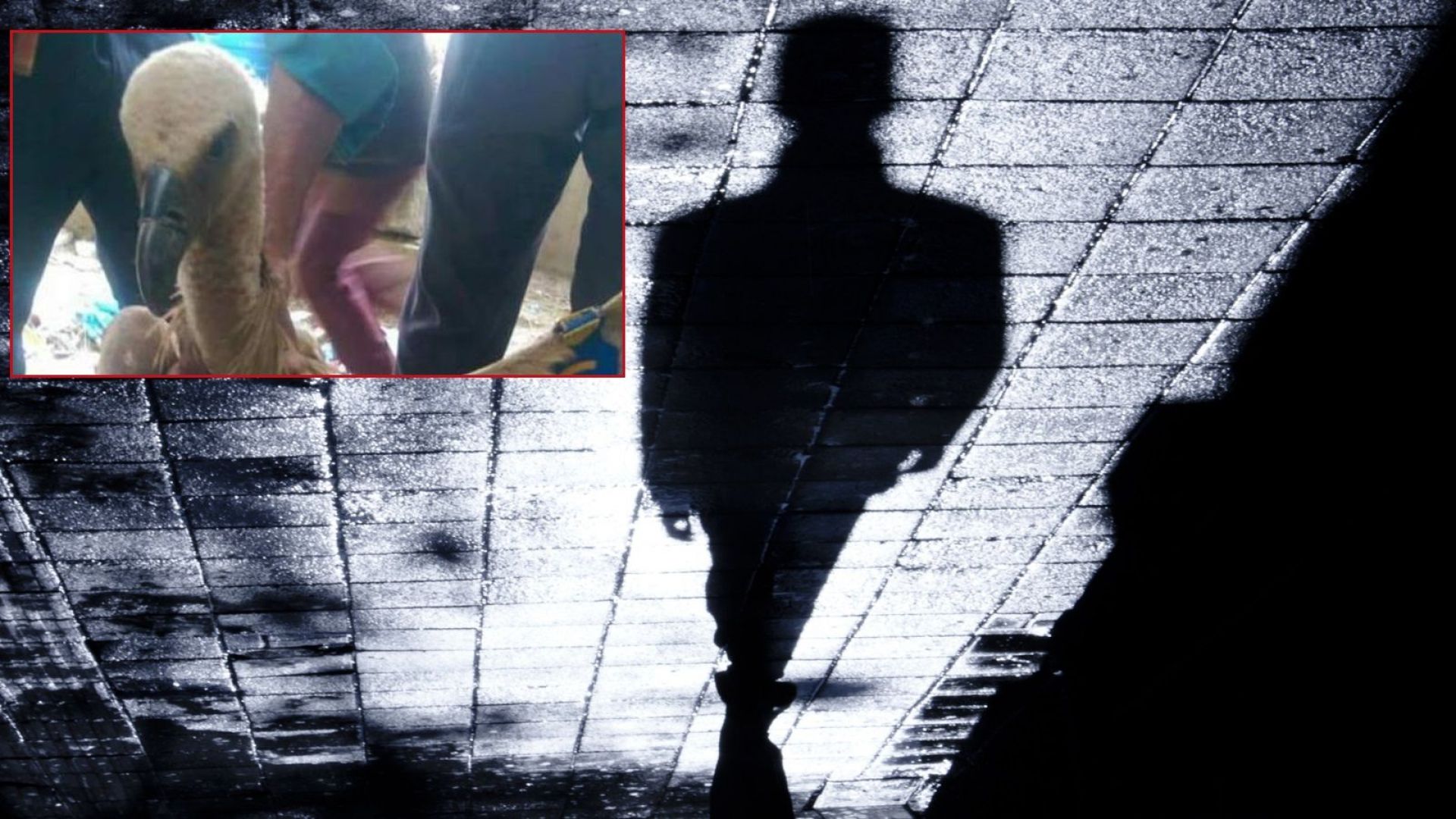 Въоръжени бойци в Йемен контролиращи град Таиз заподозряха в шпионаж