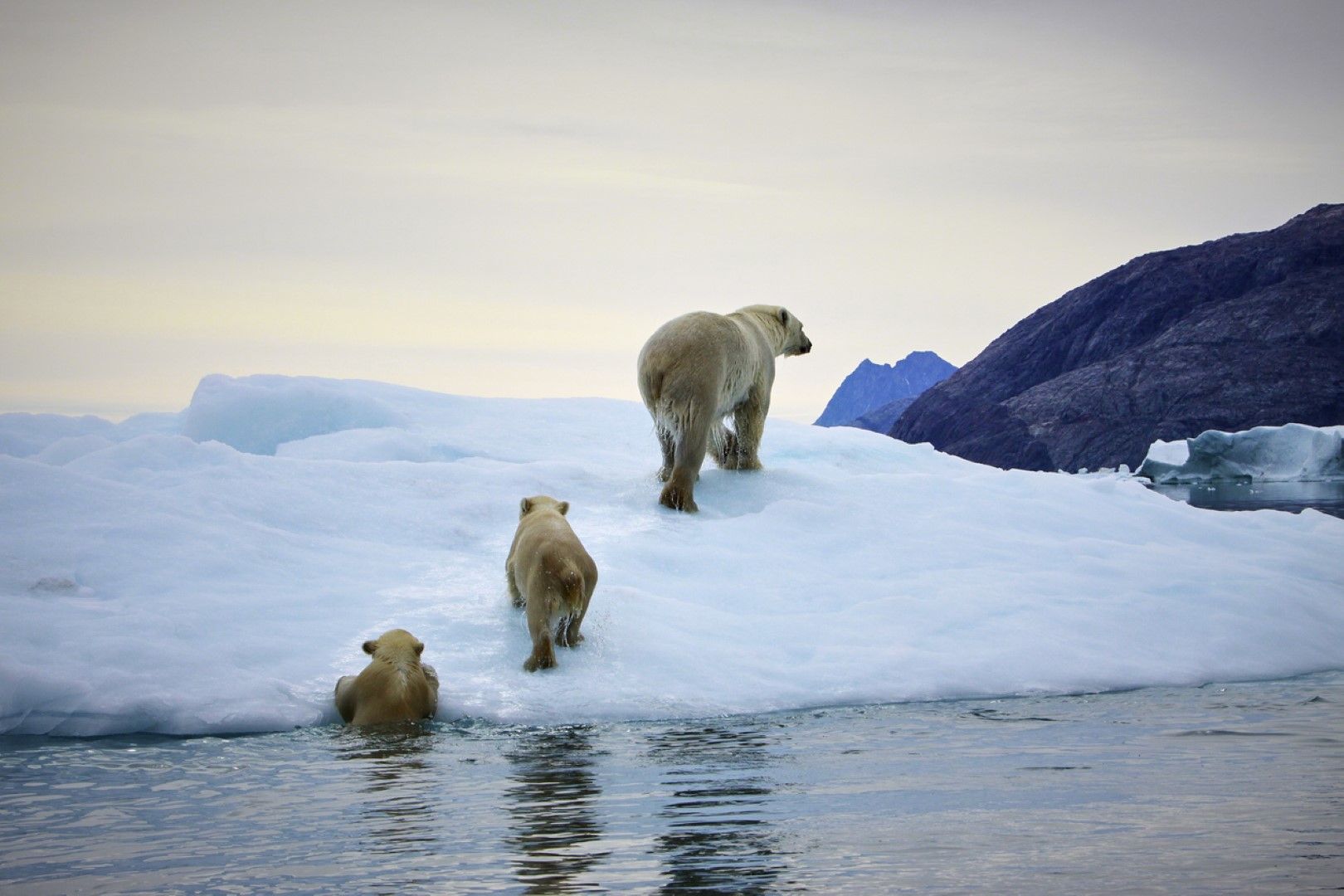 При топенето си гренландският лед замърсява с живак океана