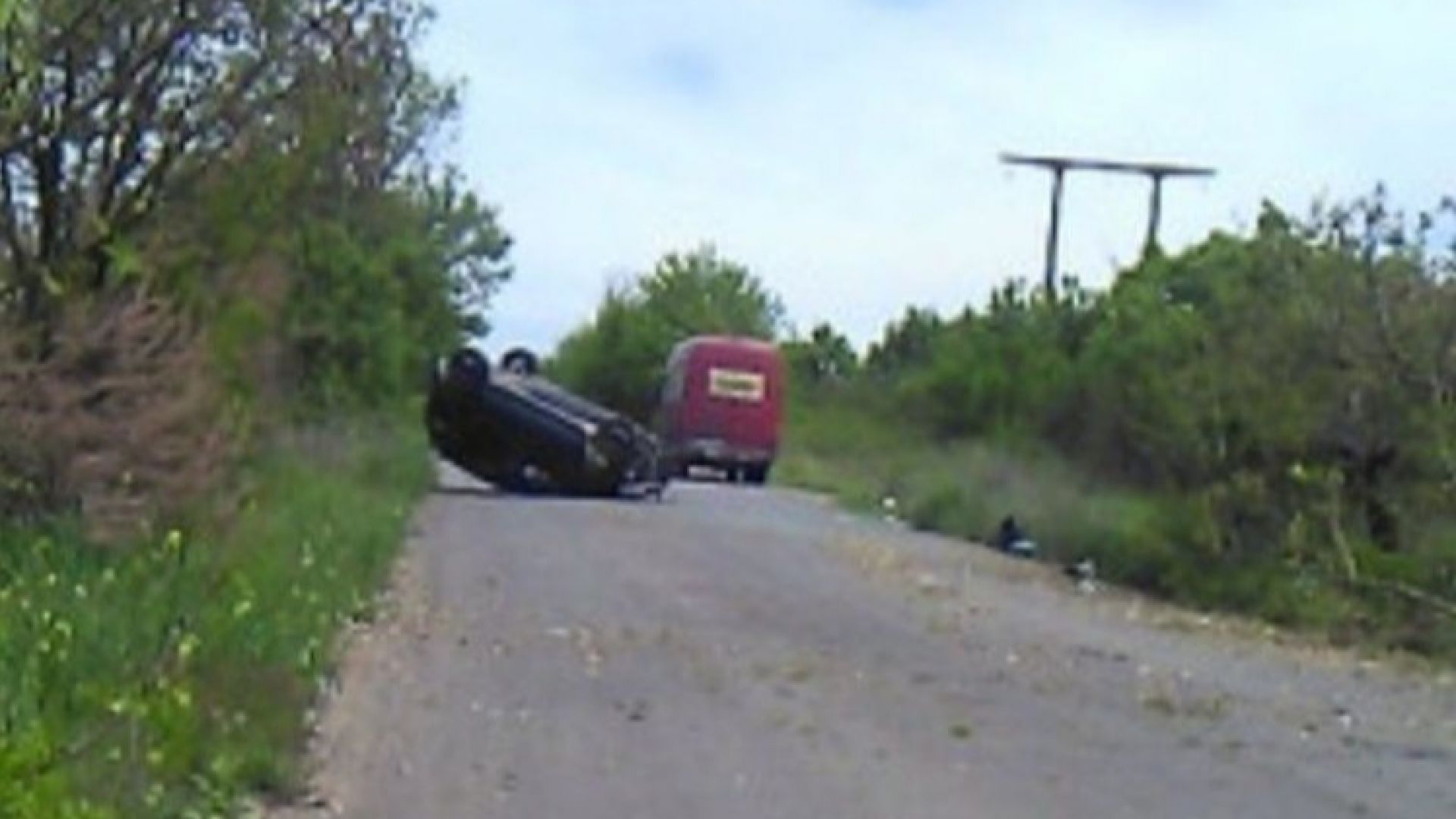 Лек автомобил отсече дървета и се обърна по таван край