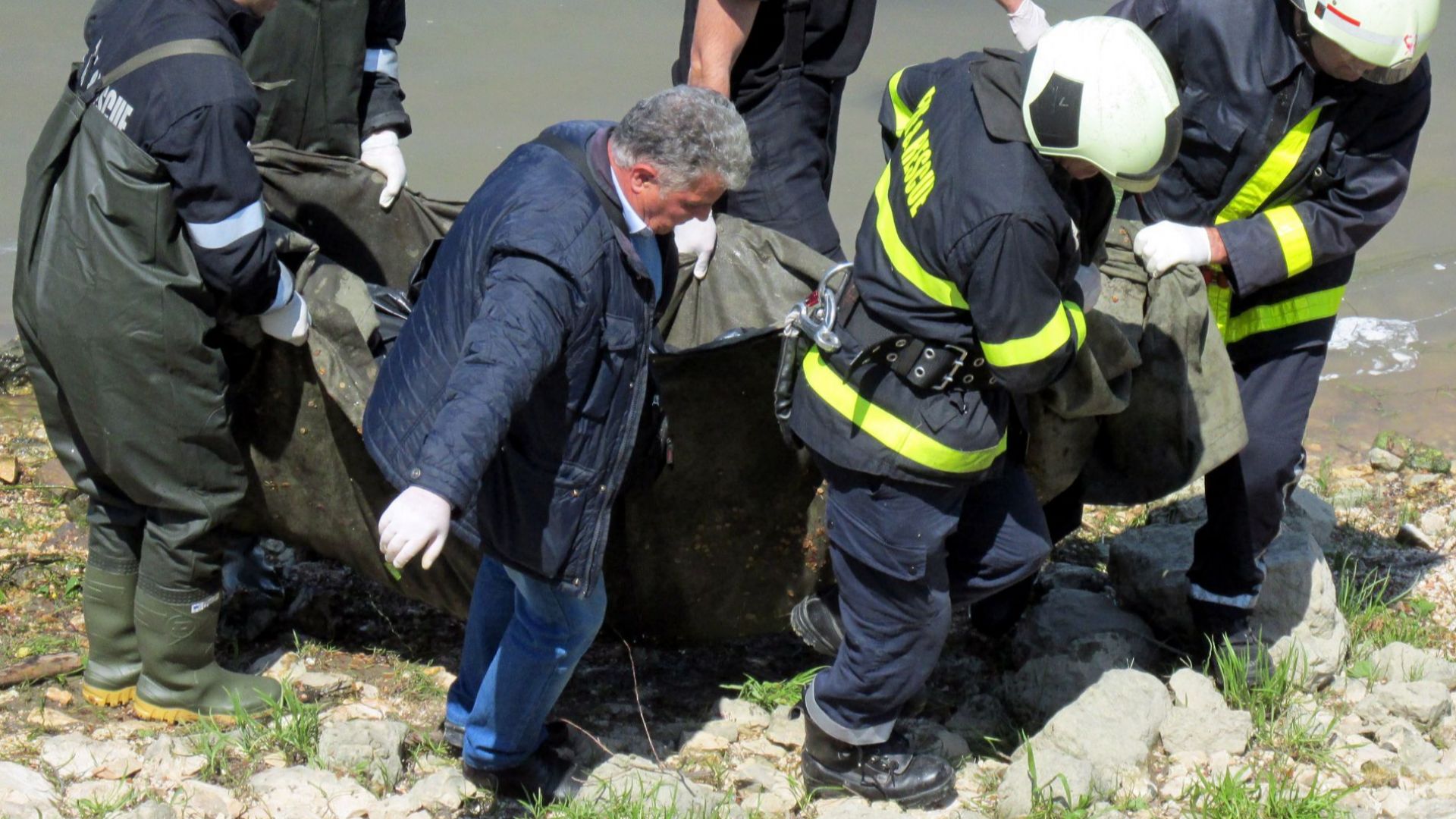 Труп на удавено диво прасе изплува от река Дунав в