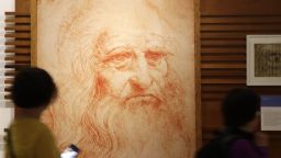 Living heirs of Leonardo discovered