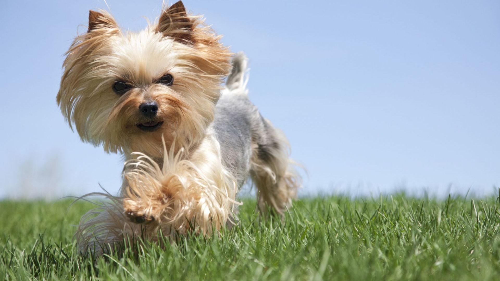 Районният съд в Пловдив осъди на 3 години затвор мъж
