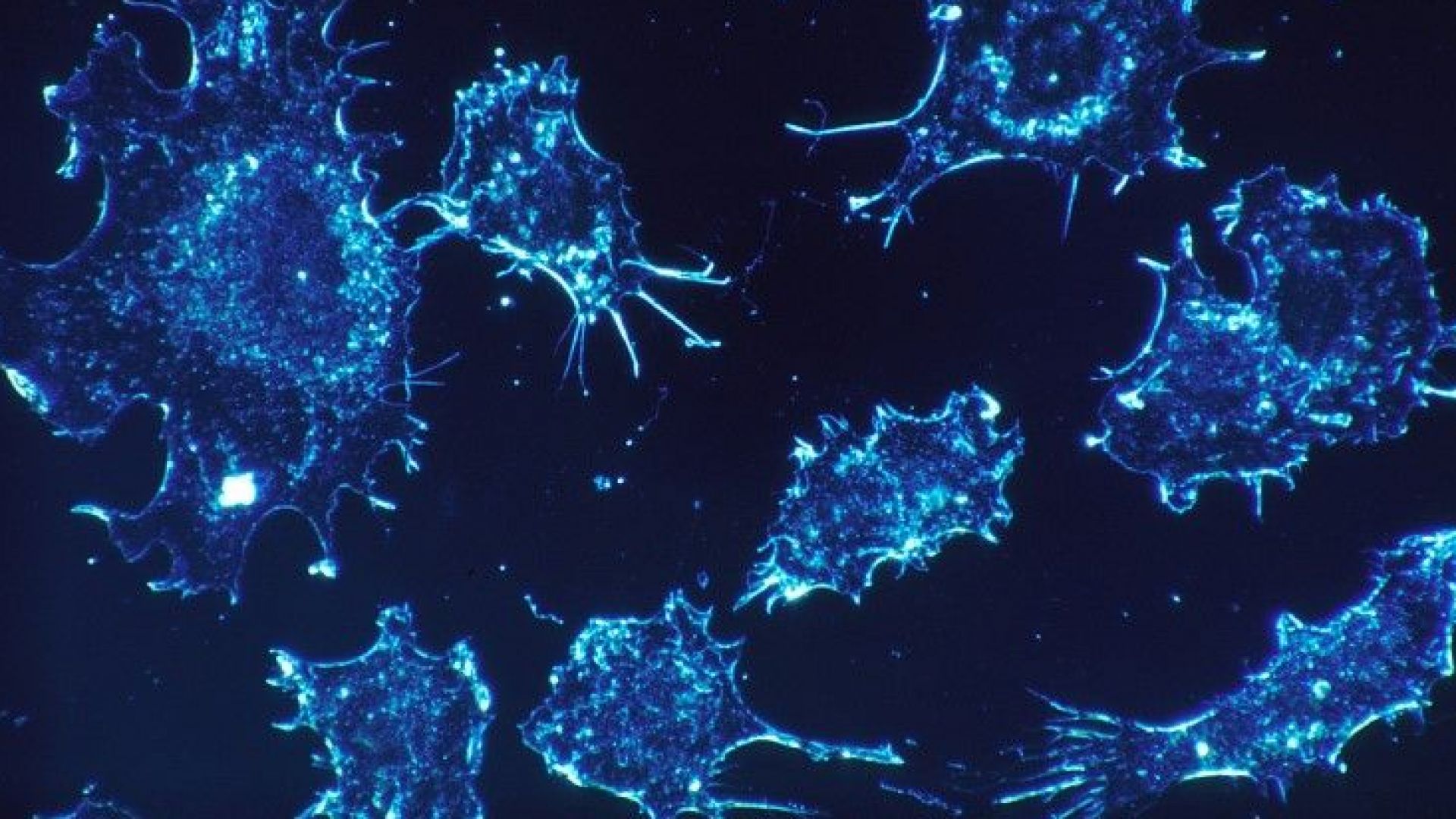 В системата за водоснабдяване на Калифорния са открити замърсители които