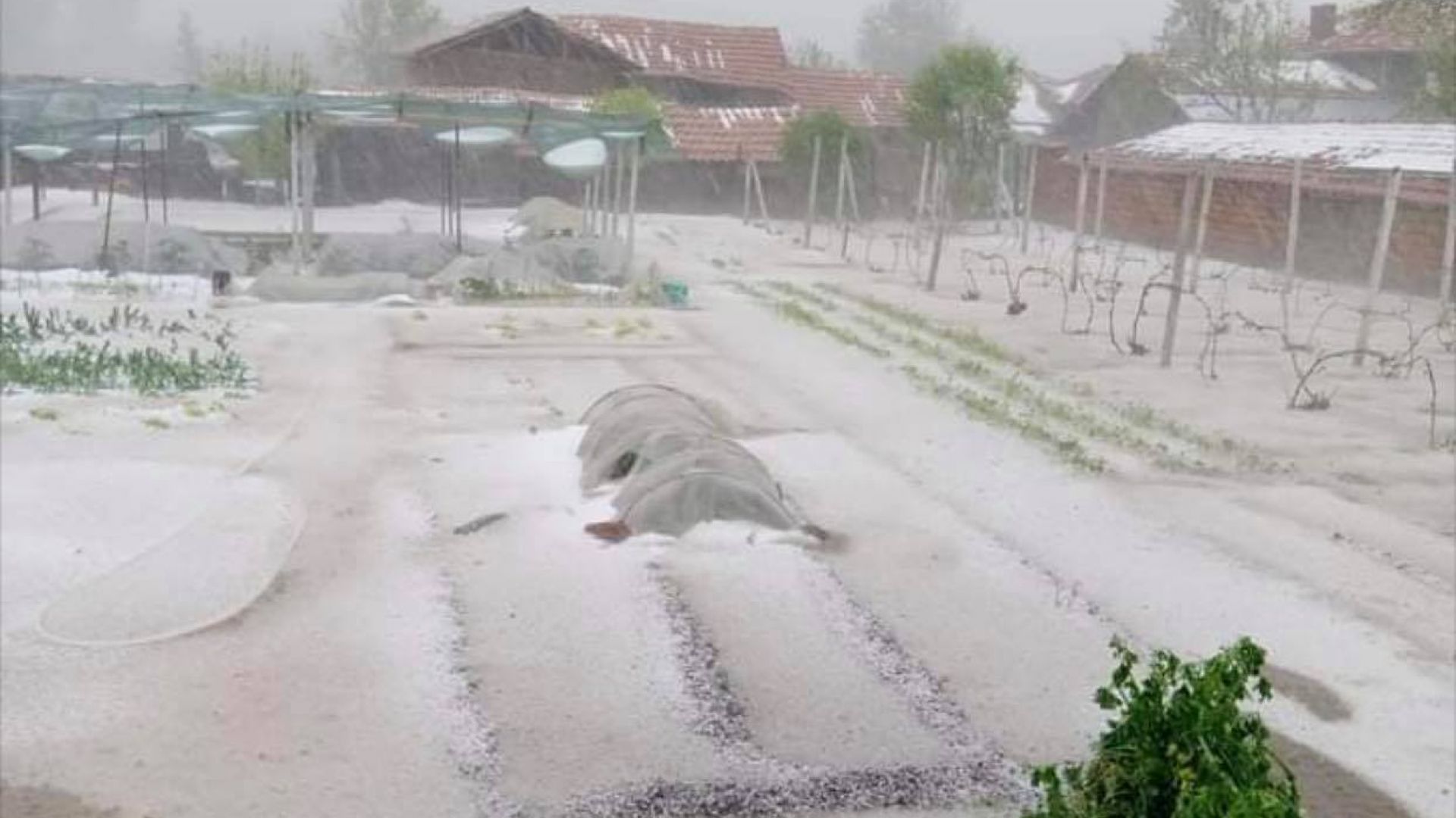 Възложител съм на изпълнителния директор на Държавен фонд Земеделие да