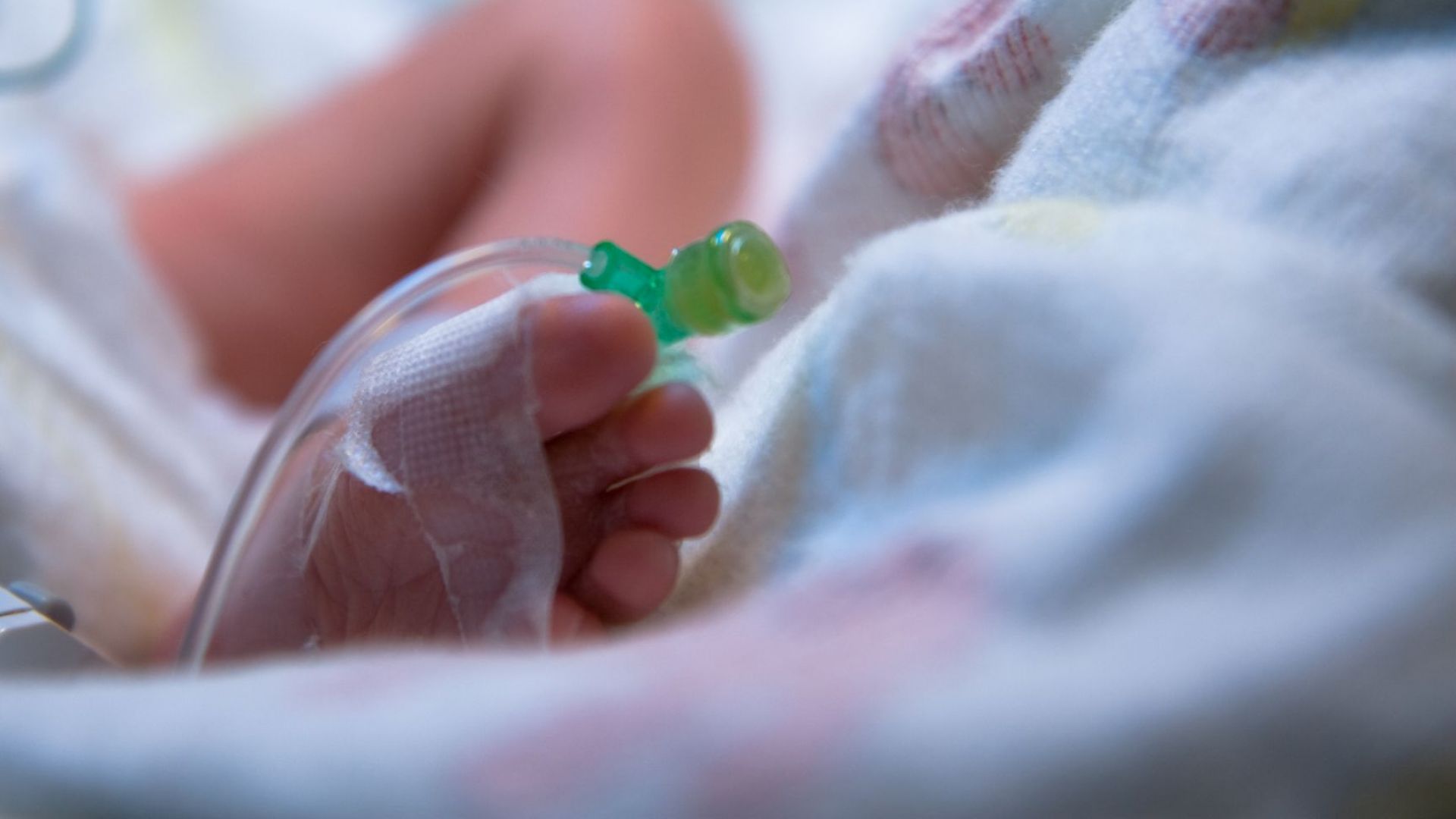 Изоставеното бебе вероятно е родено вкъщи, още не са открити родителите