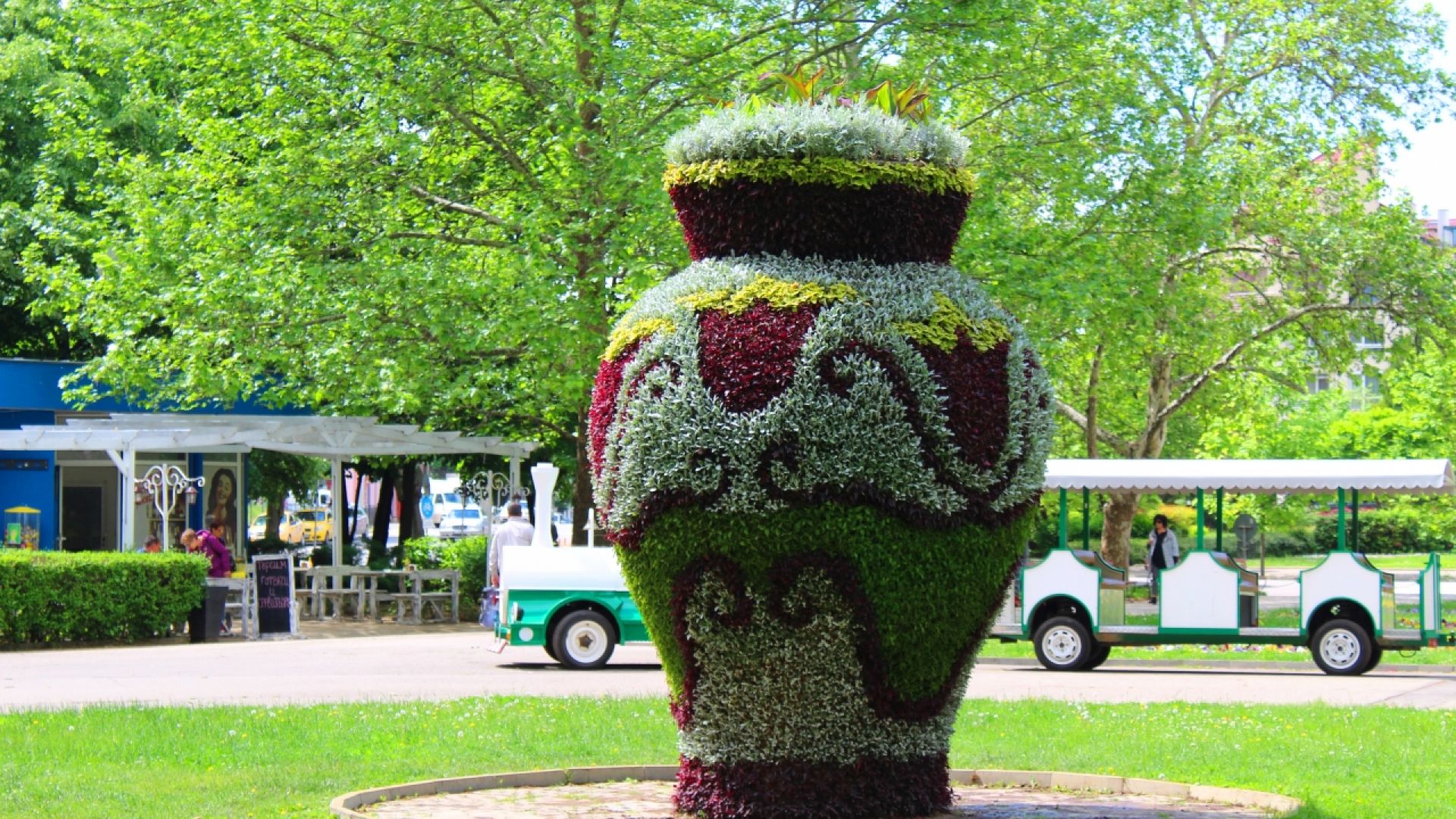 Общо 30 000 цветя красят Вазата в Парка на младежта