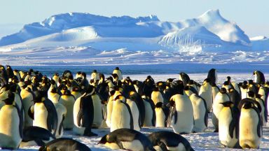 Морският лед в Антарктида достига рекордно ниско ниво