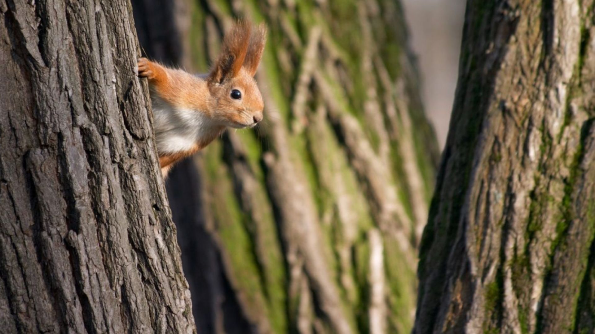 Семейството от Атланта намери дома си в окаяно състояние след