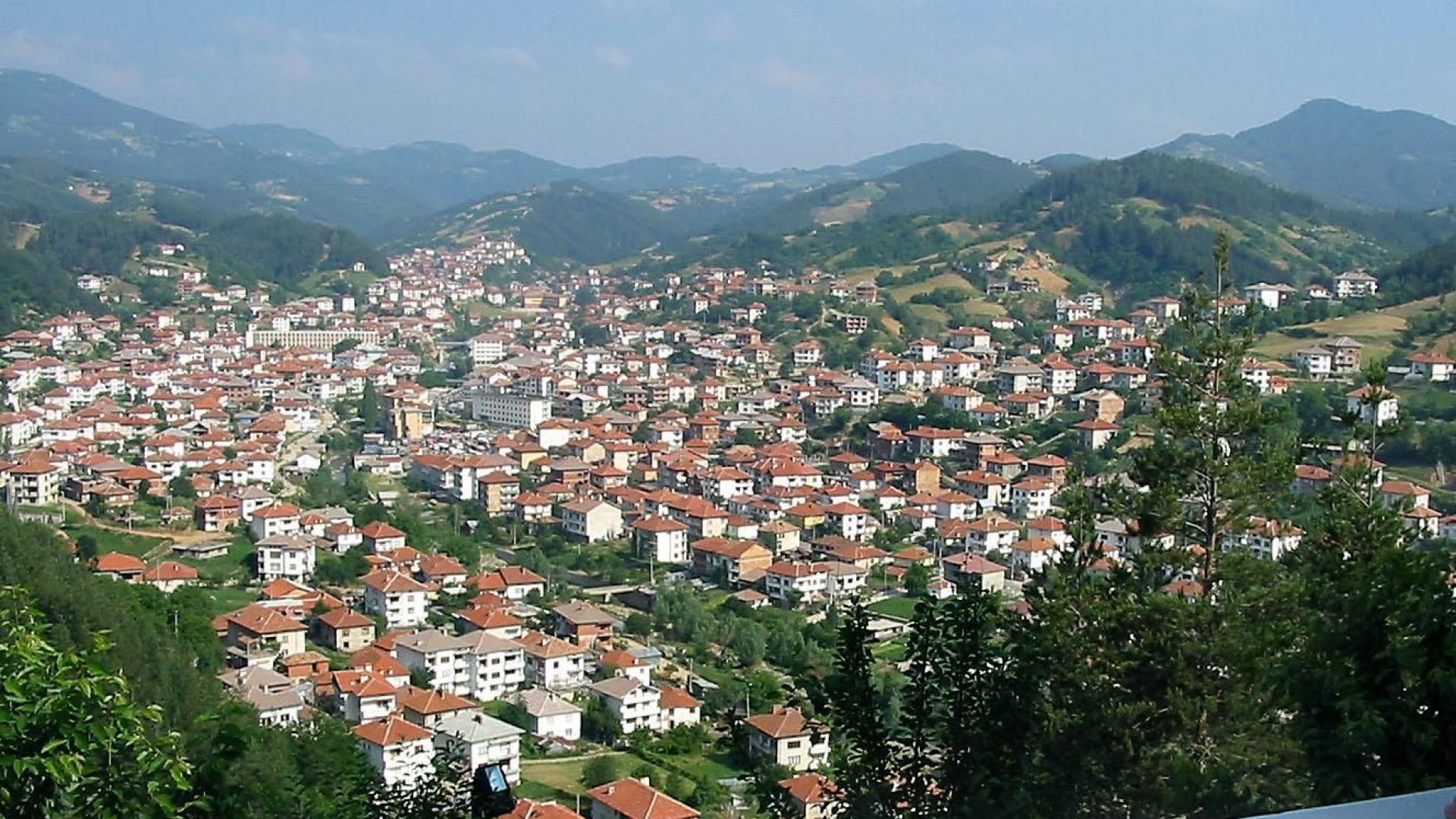 В Неделино започнаха акция в помощ на двама шестокласници близнаци