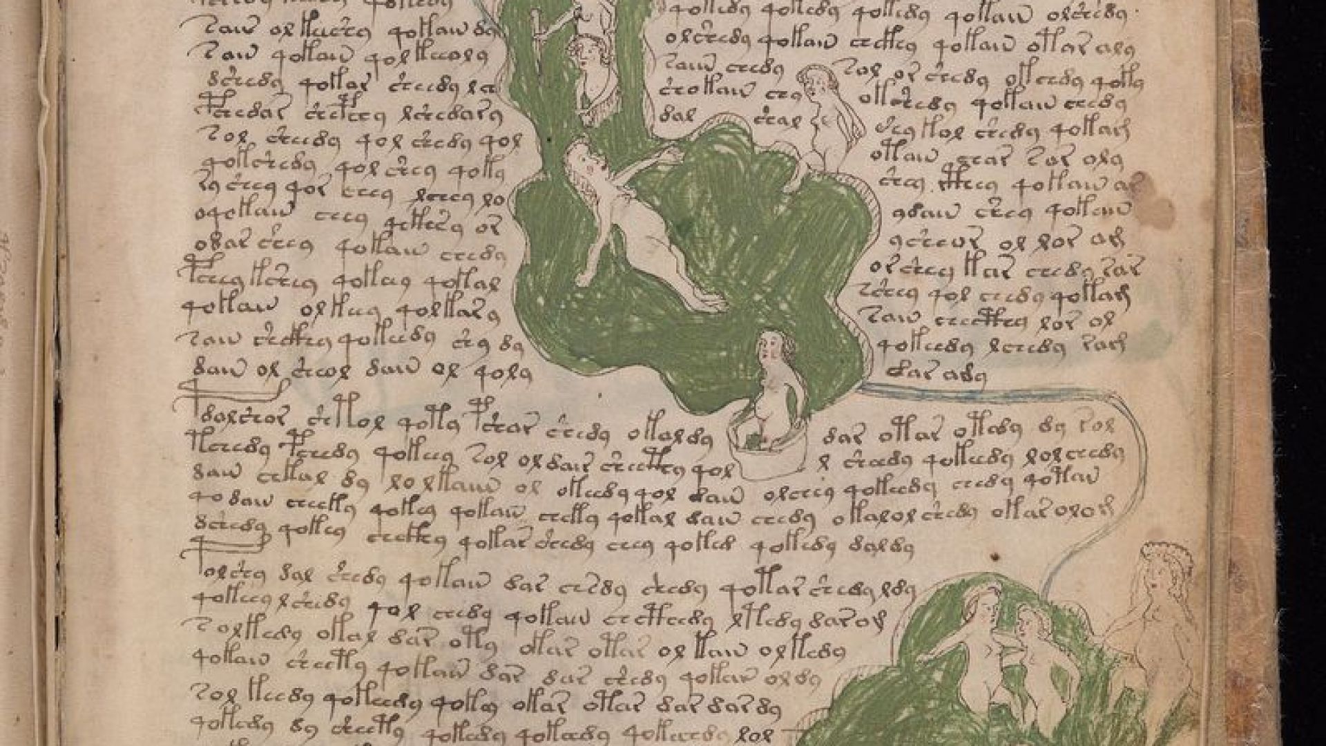 Британски учен дешифрира загадъчния ръкопис на Войнич