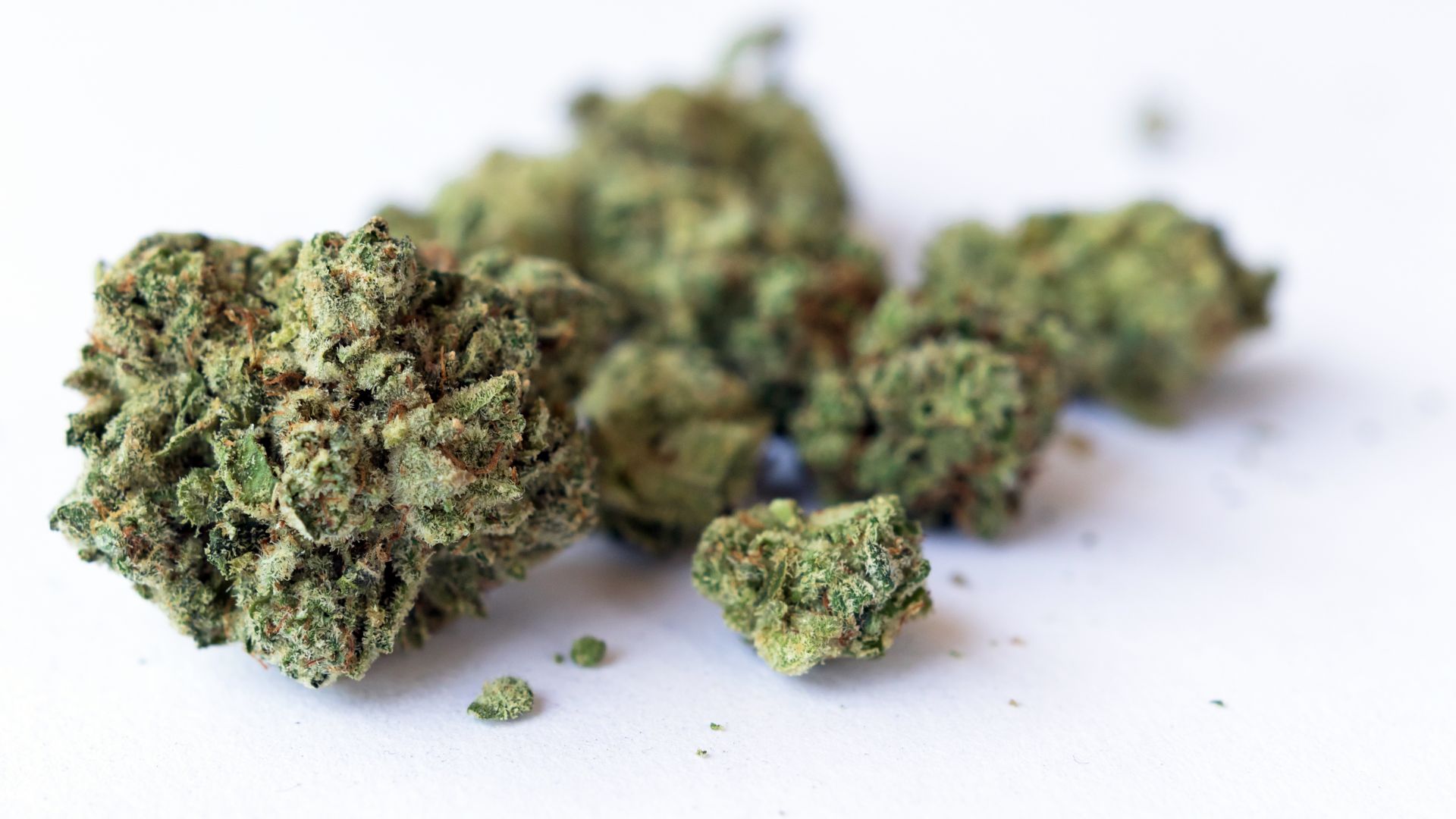 При реализация на оперативни служби на МВР Варна на 14 май