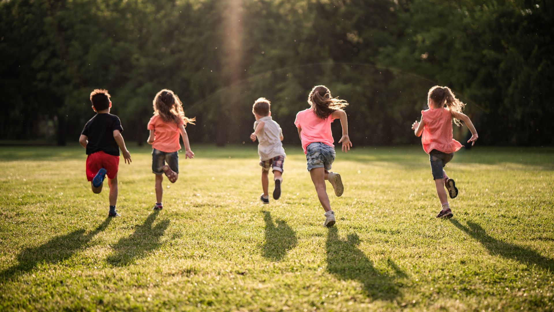 В България се надигна колективна истерия срещу Националната стратегия за