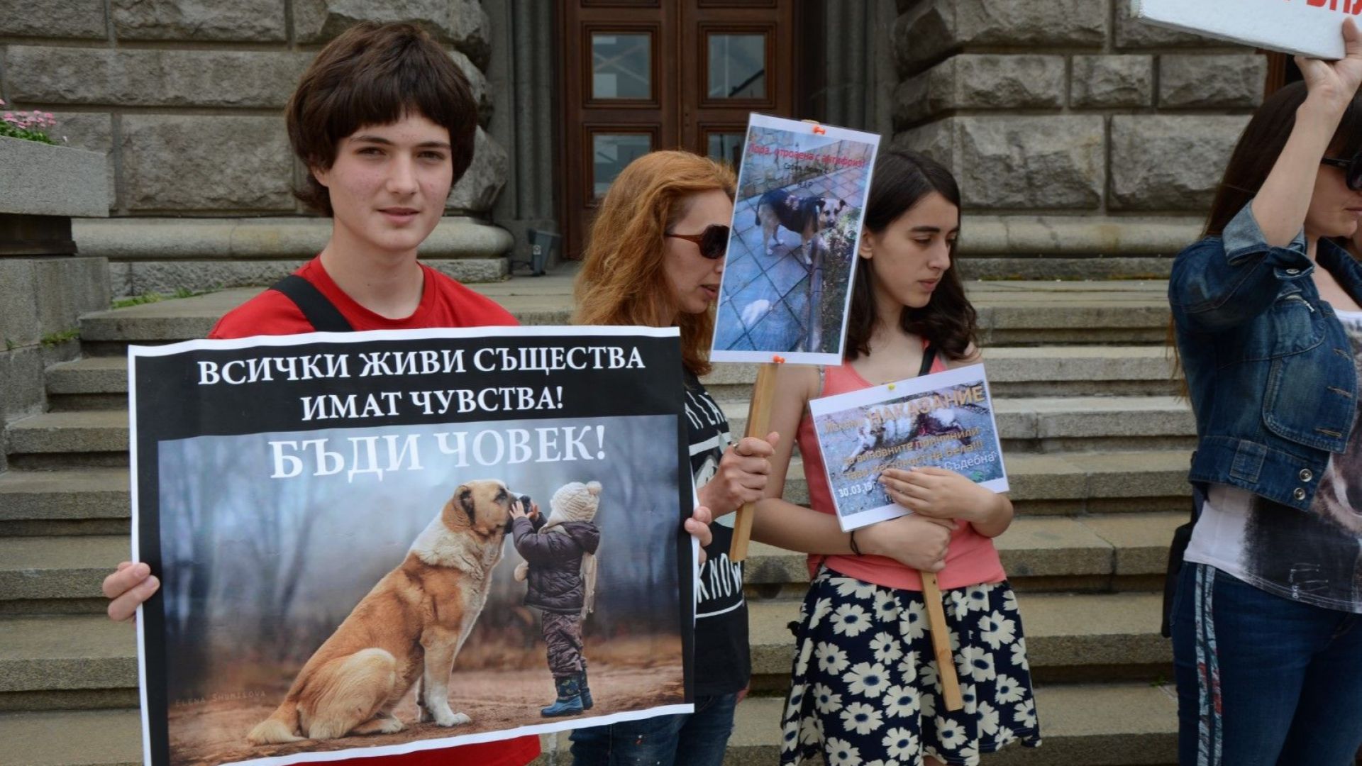 Национален протест срещу насилието над животни се състоя в редица