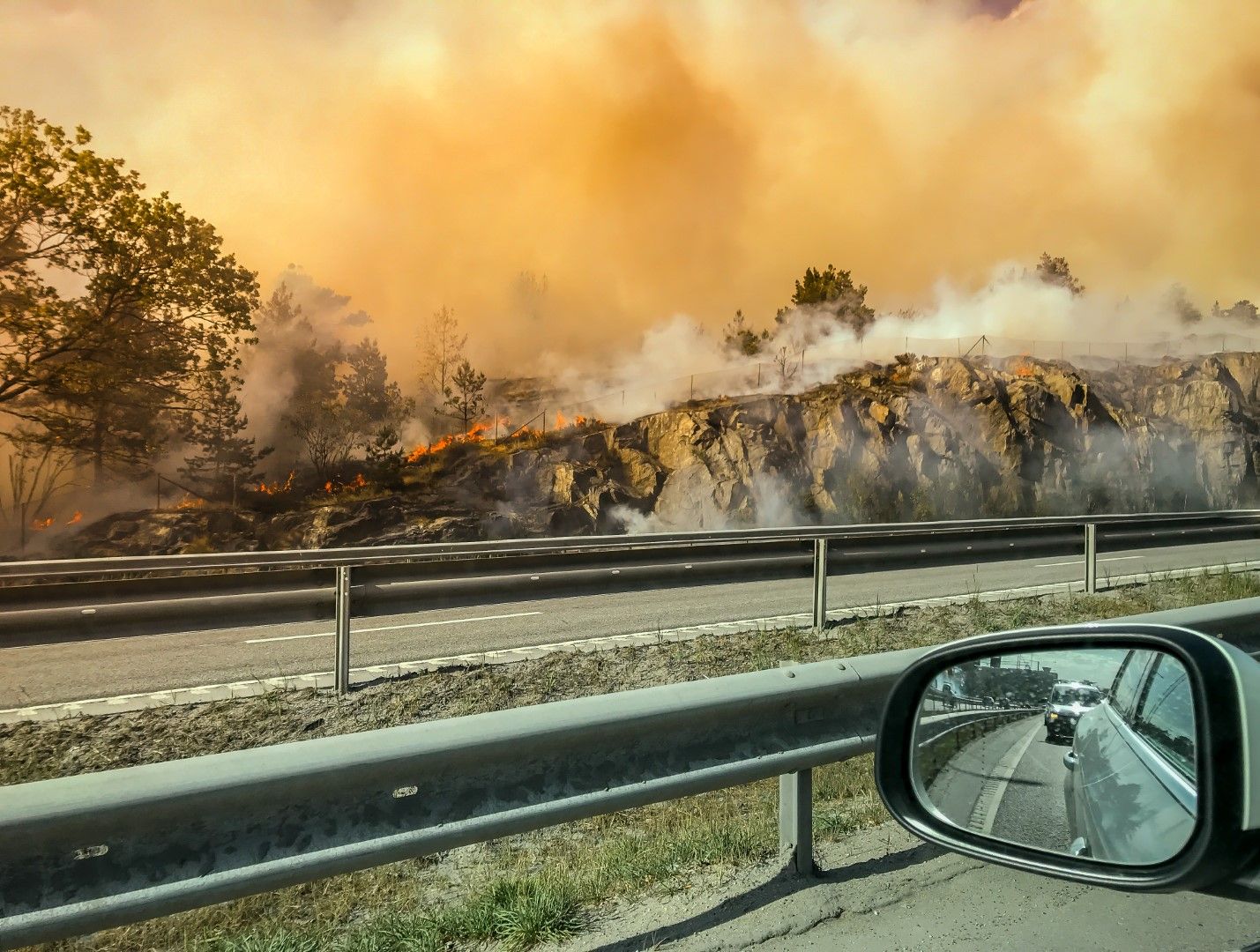 Миналогодишните пожари в Скандинавия през това лято са по-малко вероятни, според тази прогноза