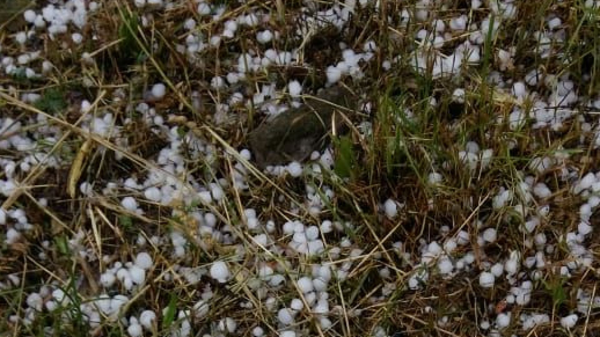 Силна градушка падна над Велико Търново Ледените късчета бяха с