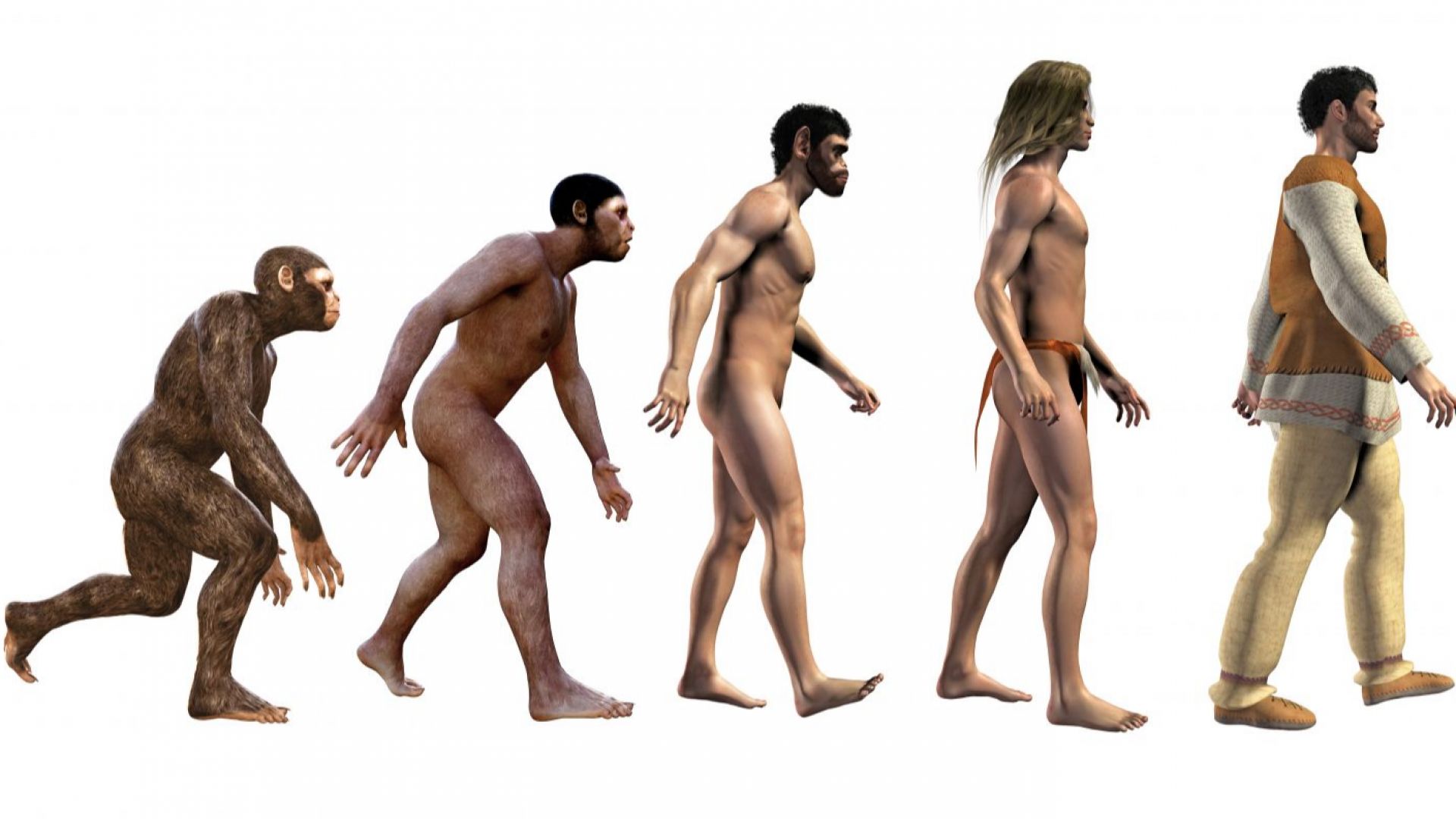 Учени от Чикагския университет заключиха че Хомо сапиенс не произхожда