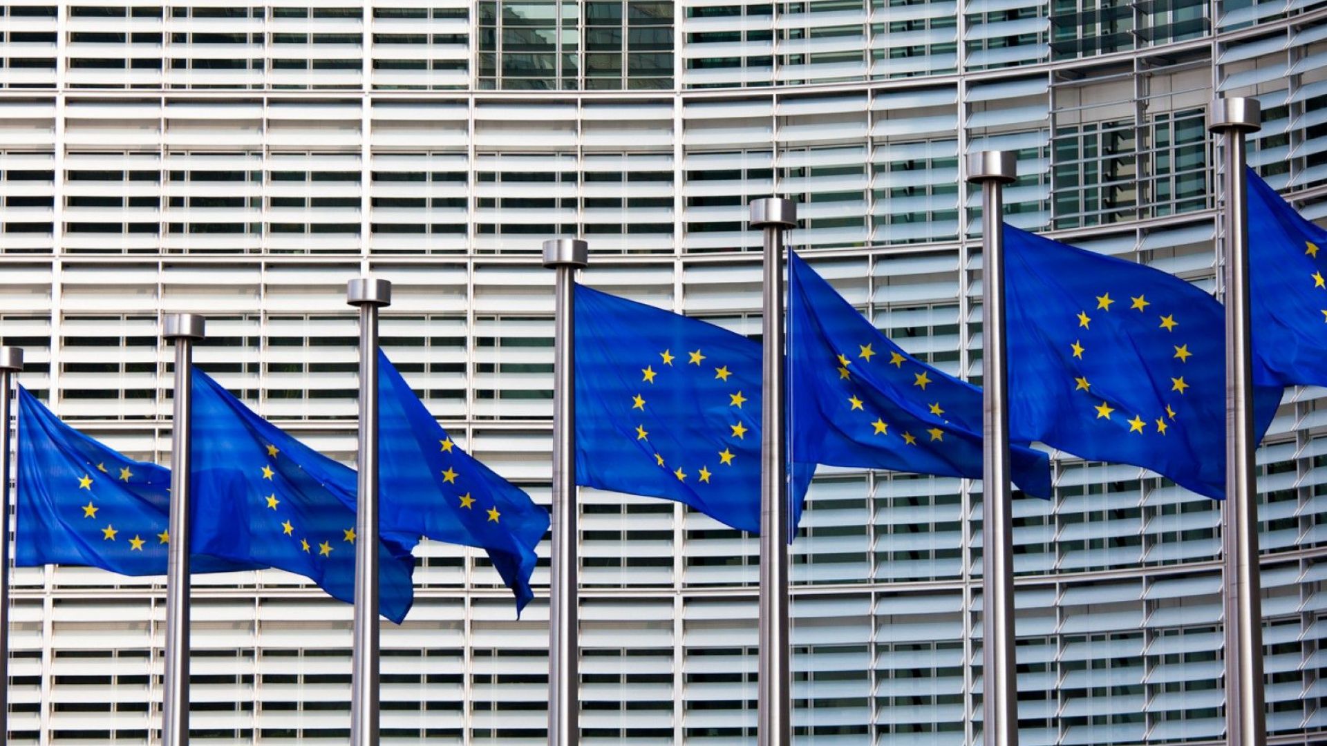 В периода 10 15 май 2019 г Агенция АФИС проведе национално