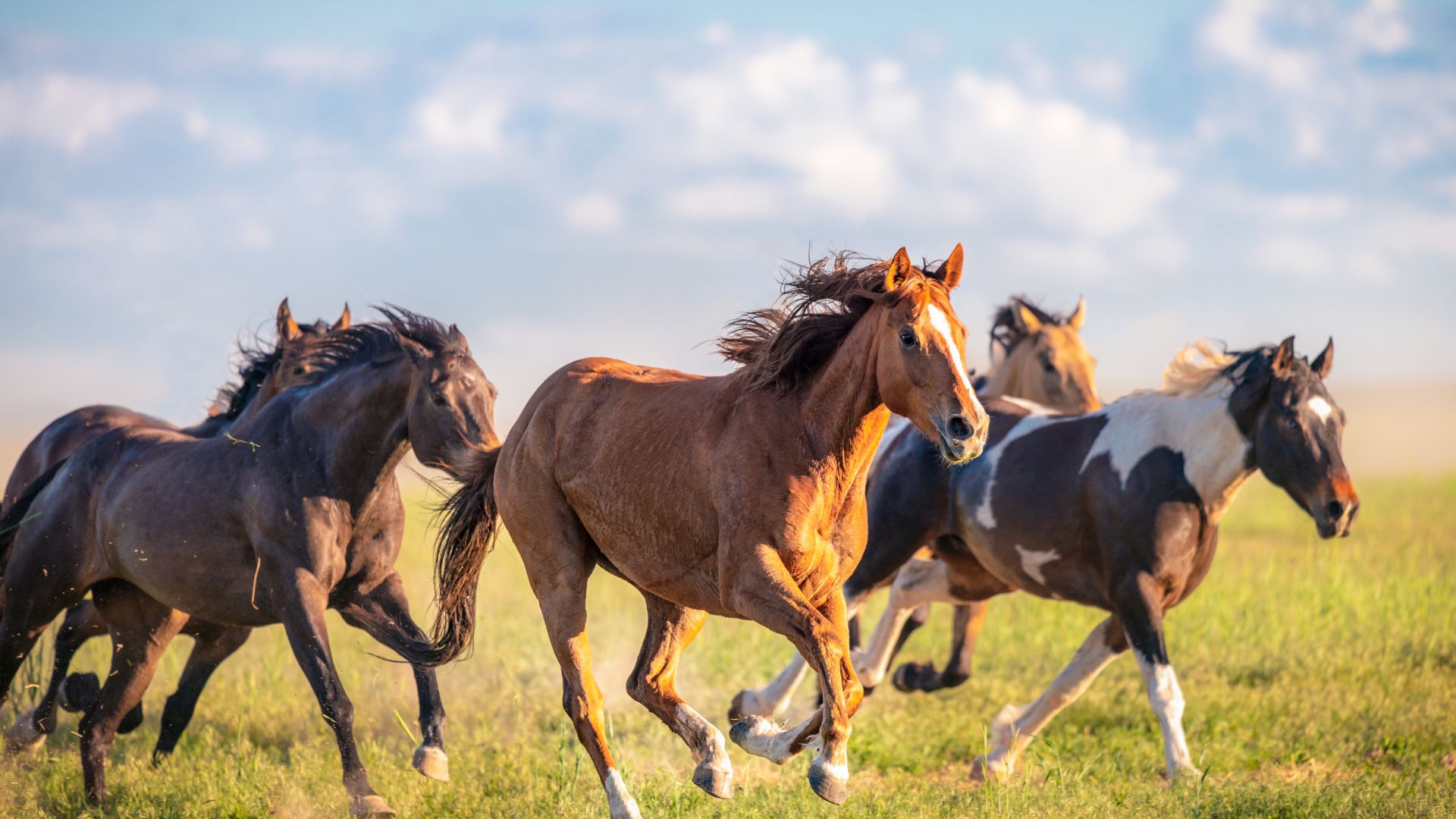 Българската агенция по безопасност на храните БАБХ предприема незабавни действия