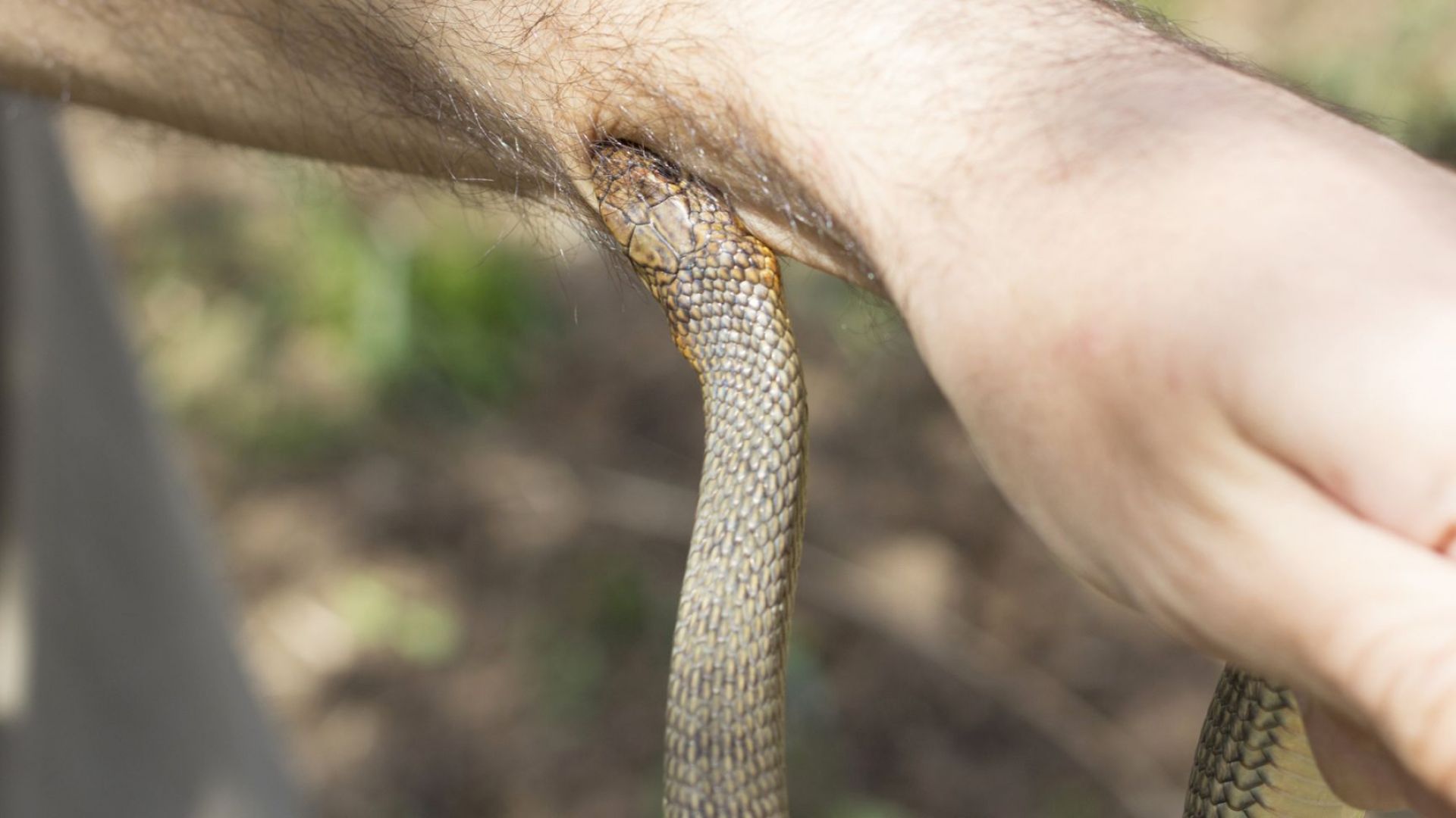 Преподавател от Центъра за подкрепа за личностно развитие в Горна