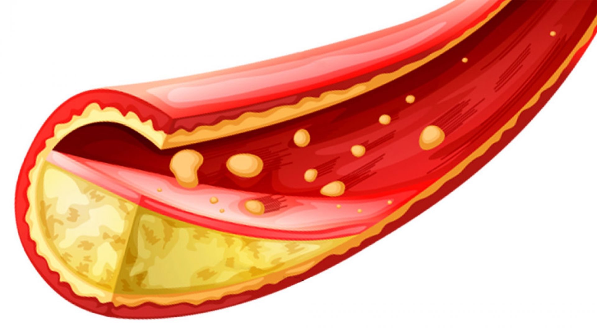 На конгрес в Белгия световнопризнати капацитети в сферата на медицината