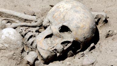 Откриха скелет на 7600 години в столичен квартал (снимки)