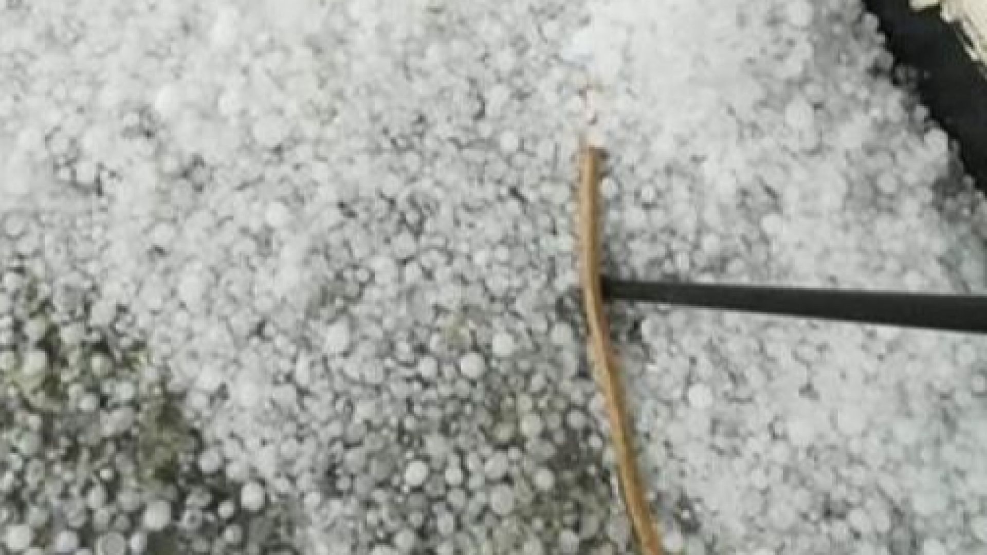 Силна градушка удари Трявна Дърво падна върху малък микробус За