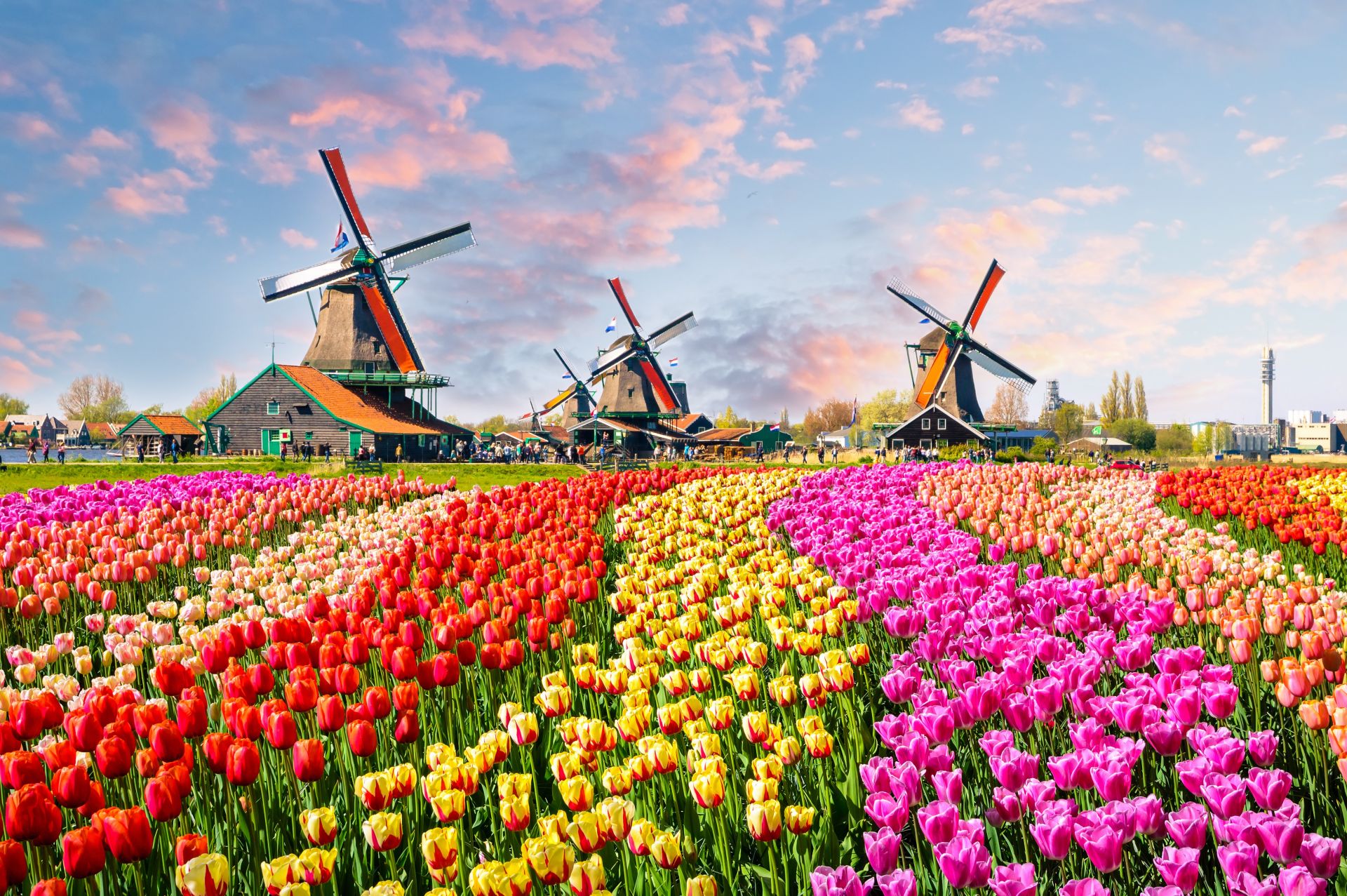 В Нидерландия има около 120 вятърни мелници
