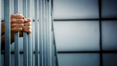 През последните години рязко пада броят на лицата попадащи в