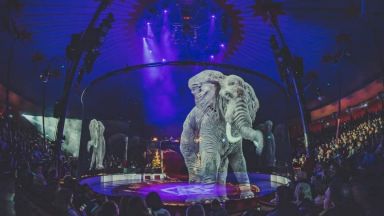 Замениха животните в цирк с техни холограми