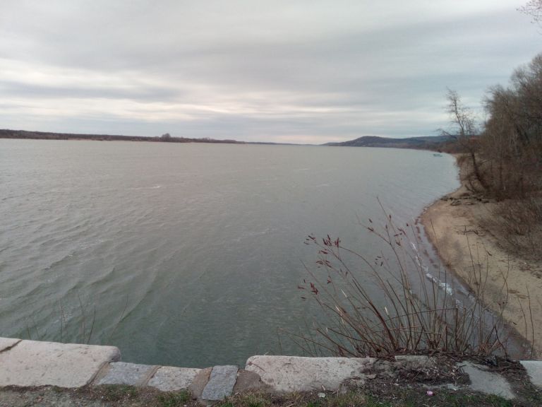 Visokoto Nivo Na Dunav Uvelichava Populaciyata Na Riba No Prechi Na Ribolova Dnes Dir Bg