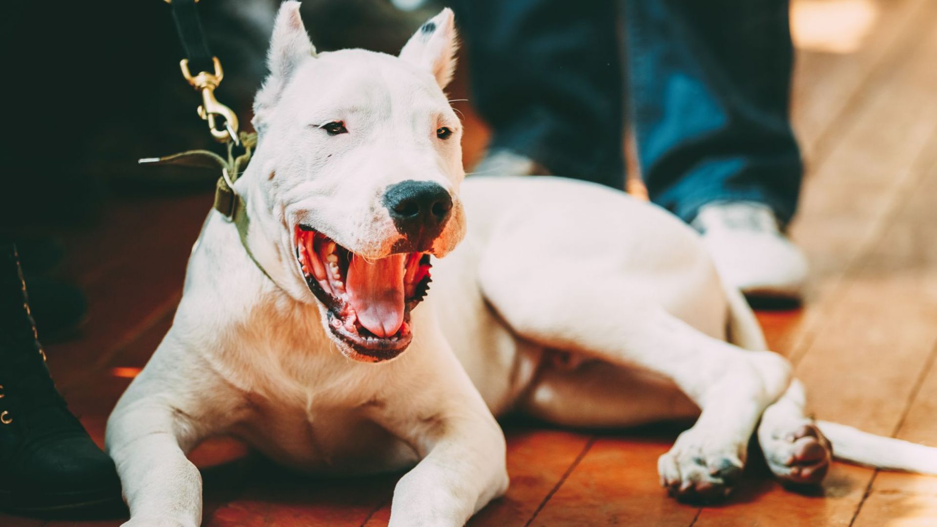 35 годишна жена е транспортирана в болница след като бе нападната