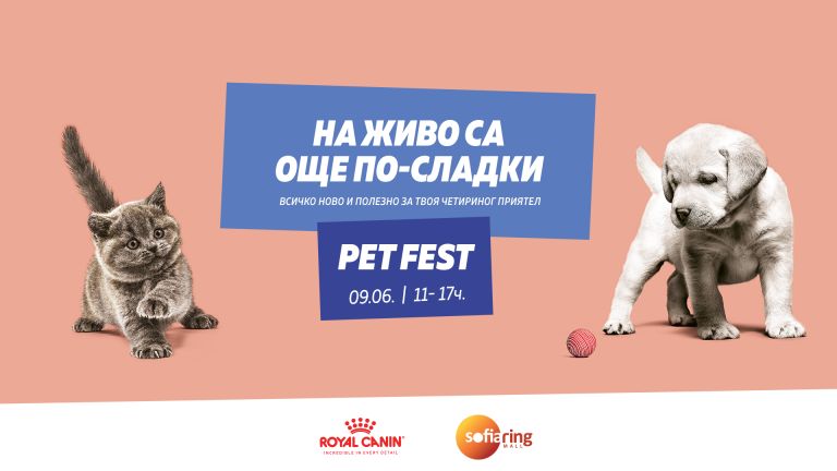 Домашните любимци и техните стопани в очакване на старта на Pet Fest