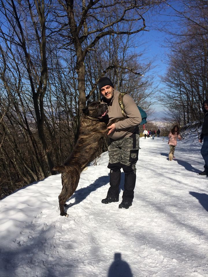 Йордан Карагьозов с едно от кучетата си